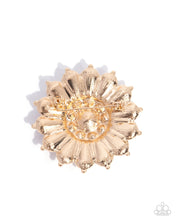 Load image into Gallery viewer, Polished Panorama - Gold Paparazzi Accessories