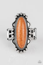 Load image into Gallery viewer, Leave No Trace Brown Ring Paparazzi Accessories