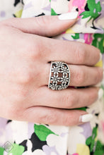 Load image into Gallery viewer, Crazy About Daisies Silver Ring Paparazzi Accessories