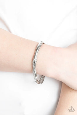 Watch Out For Ice Silver Bracelet Paparazzi Accessories